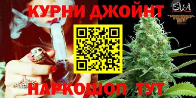a pvp Рязань