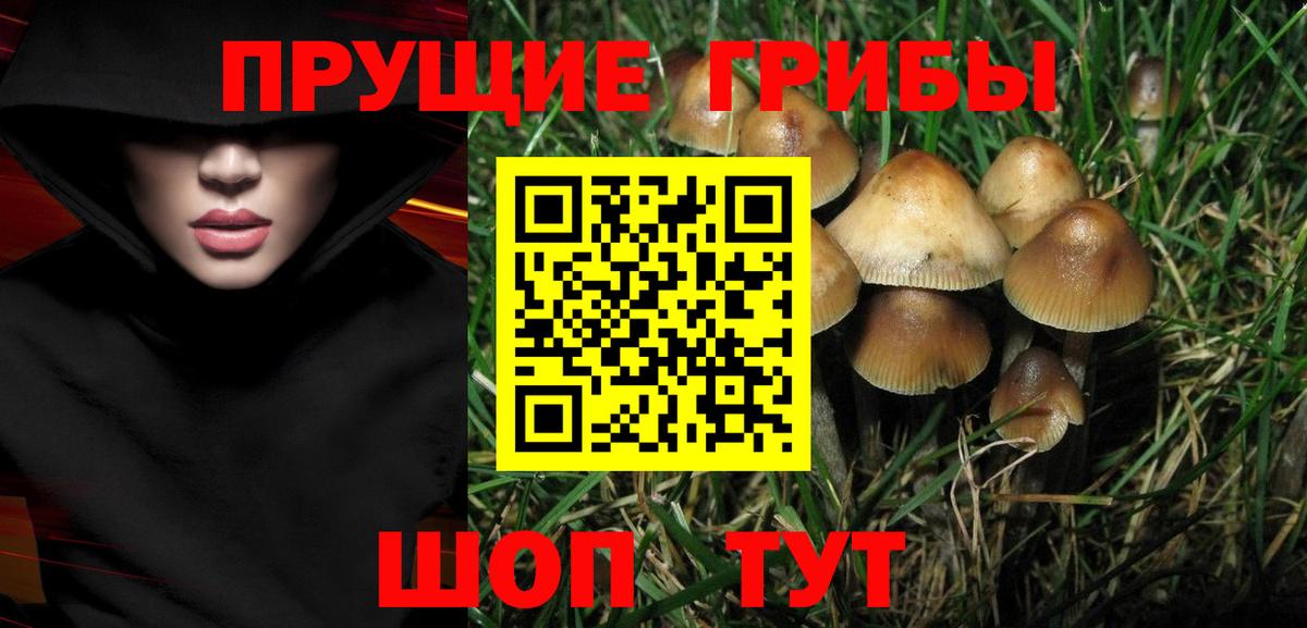 Галлюциногенные грибы ЛСД Севастополь